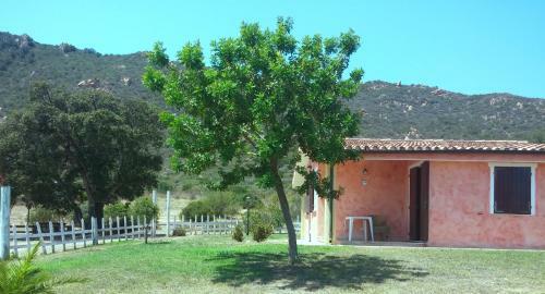 Bed & Breakfast Il Falconiere