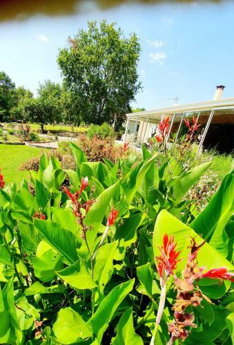 Villa Berman Piscine Jardin Cuisine D'�t�