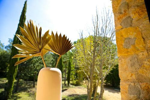 Hostal Domaine de La Xavoli�re