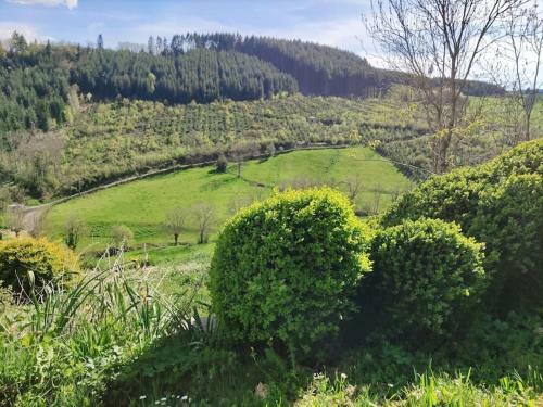 Maison de Charme Dans La Nature 8 Personnes