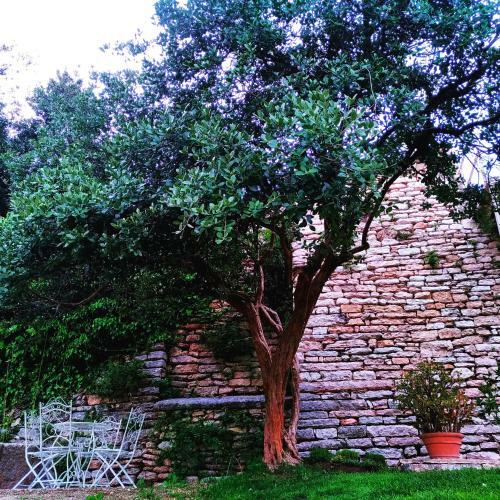 Bed & Breakfast Antica Corte Panego