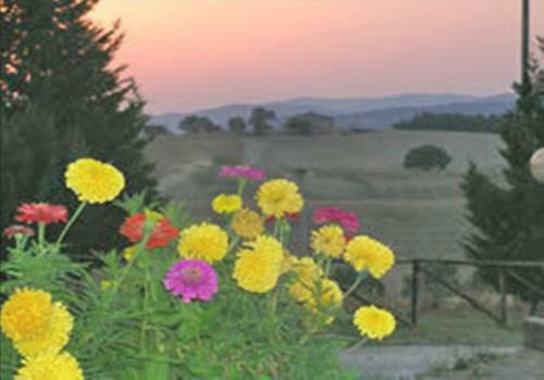 Agroturismo Agriturismo Casa Colsereno