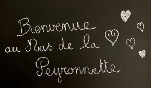 Mas de La Peyronnette