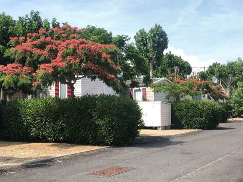Mobil Home Le Magnifique Valras Plage
