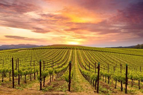Silverado Resort And Spa 389 & 391