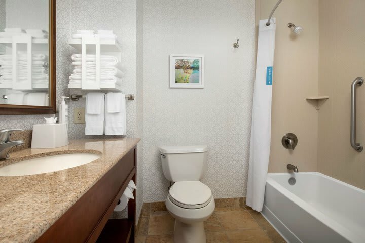 Hotel Hampton Inn & Suites Holly Springs