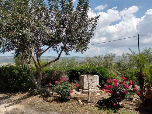 Apartamento Oasi Delle Vigne