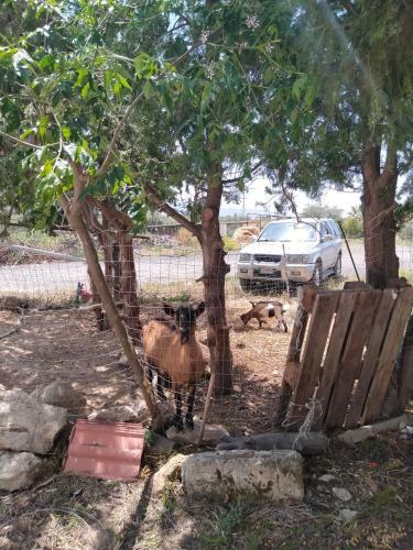 Apartamento Oasi Delle Vigne