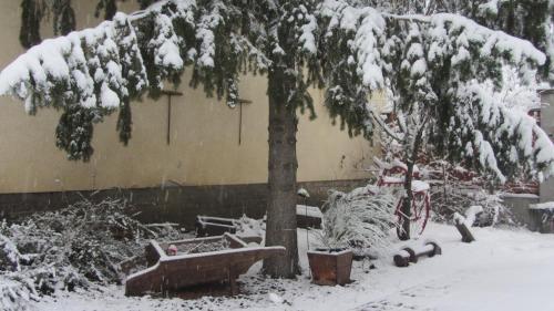 Hostal Kult�r�let Vend�gh�za