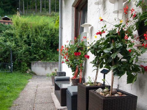 Hostal Alpenpension Gasthof
