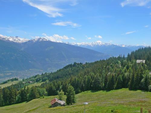 Apartment Clairiere Barzettes II Crans Montana