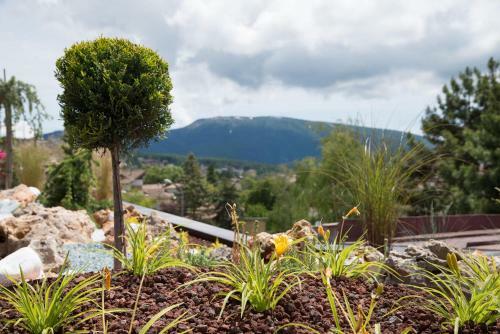 Lady Maria Hotel Wellness & Resort