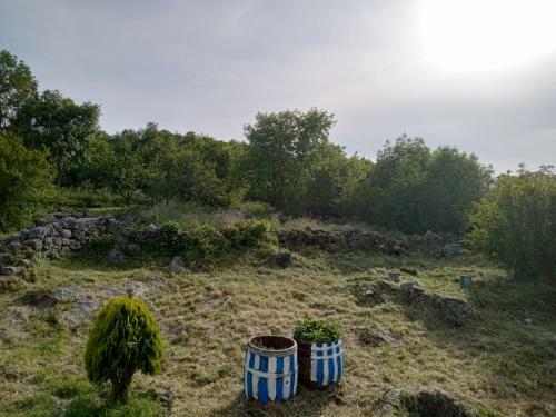 Apartamento Country Stone House Kovacevic