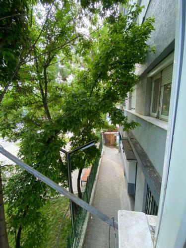 Hotspot Apartments