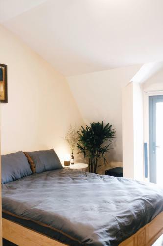 Apartamento Powill Home