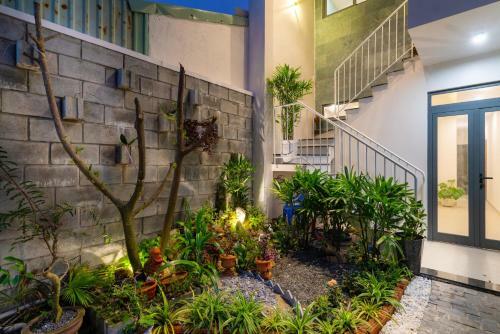 Pearl House Hoian Homestay