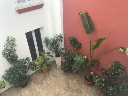Apartamentos Tur�sticos Casa de Los Balcones