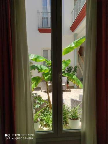 Apartamentos Tur�sticos Casa de Los Balcones
