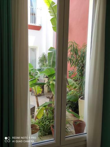 Apartamentos Tur�sticos Casa de Los Balcones