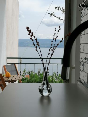 Apartamento Star Of The Sea 2