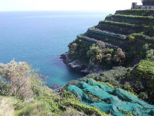 Apartamento Ruderi