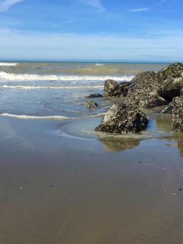 Apartamento Beachstudio Westende