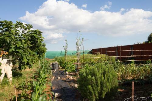 Country House With Pool, Garden And Orchard