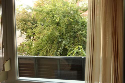 City Center Apartment
