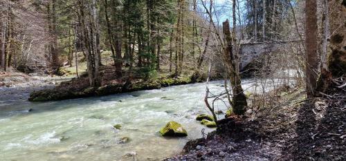 Chez M�m� Cour