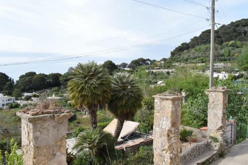 Apartamento Il Cellaio Di Tiberio