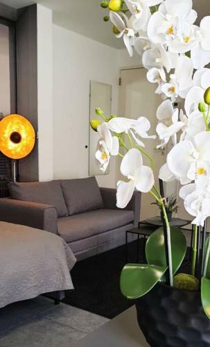 Charming Apartment In Sittard City