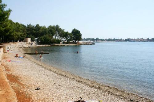 Apartments With A Parking Space Novigrad - 19678