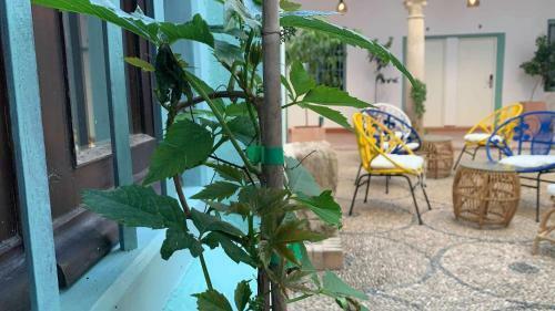 Apartamento Palacete de Los Argote 1