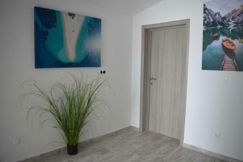 Villa Zara