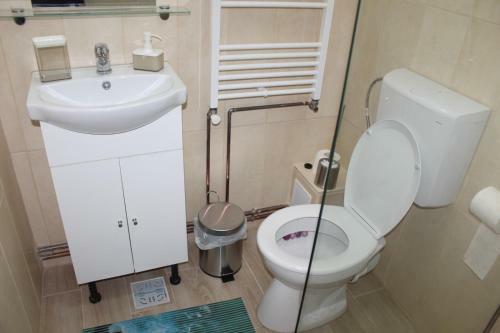 Hostal Casa Alex Vrancea Mehedinti