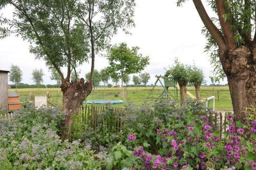B&B Knotwilgenhoeve