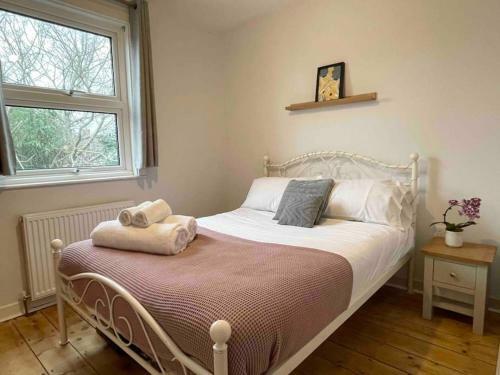 Bright & Spacious Edwardian Townhouse With Garden