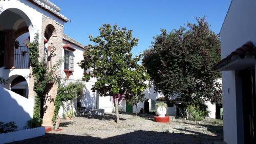 Villa Finca El Vicario