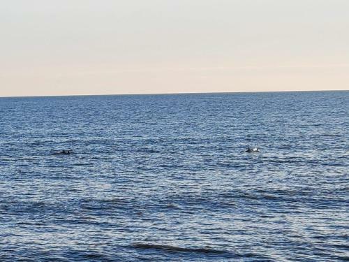 Steps To The Ocean 129