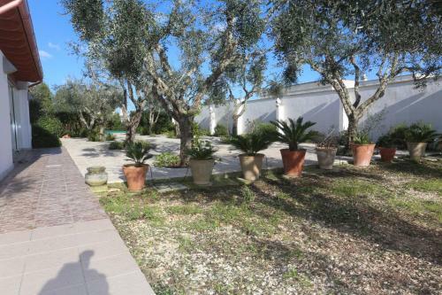 Panacea Residence B&B