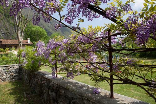 B&B I Corni Di Nibbio