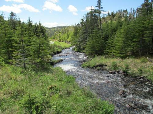 The Wilds At Salmonier River