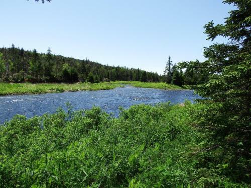 The Wilds At Salmonier River