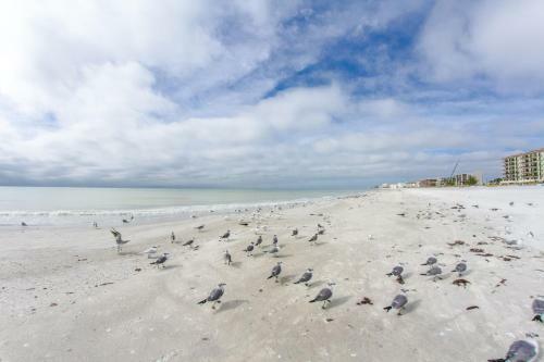 406 Madeira Norte Condo