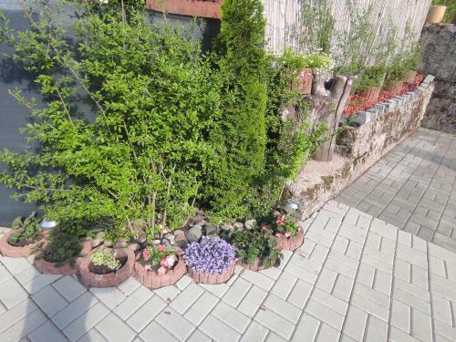 Apartamento Ubytovanie Na Zigmund ?achte
