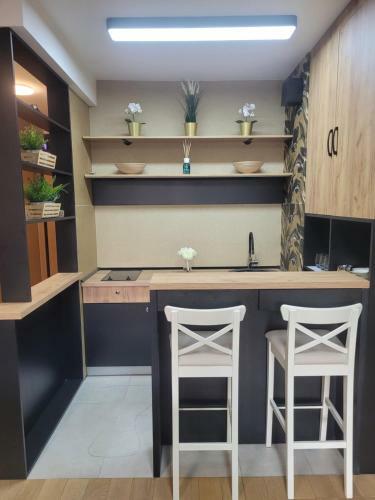 Apartamento Studio Exclusive Vracar