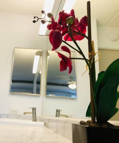 Apartamento Beautiful 2 Bed 2 Bath - At Snowbird Paradise .