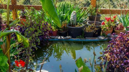 Villa Fuente Pint� Arenas By Ruralidays