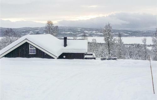 Stunning Home In Hemsedal W/ 3 Bedrooms