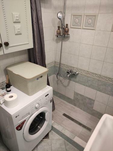 Belgrade Apartment Vera